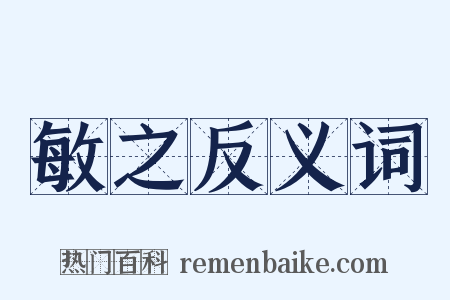 敏之反义词是什么意思的图片